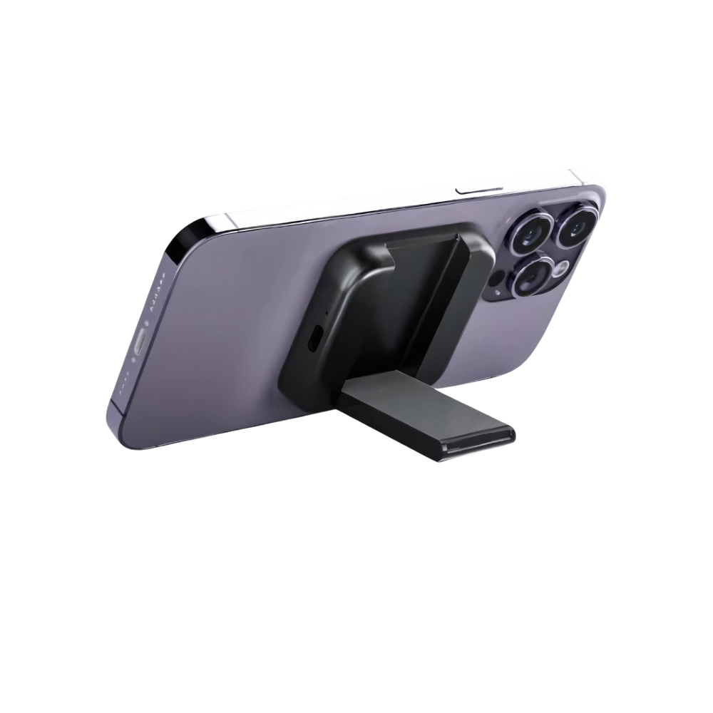 PowerDock 2-in-1